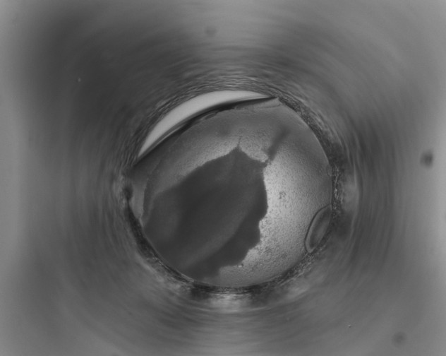 X0000097910319200803211510