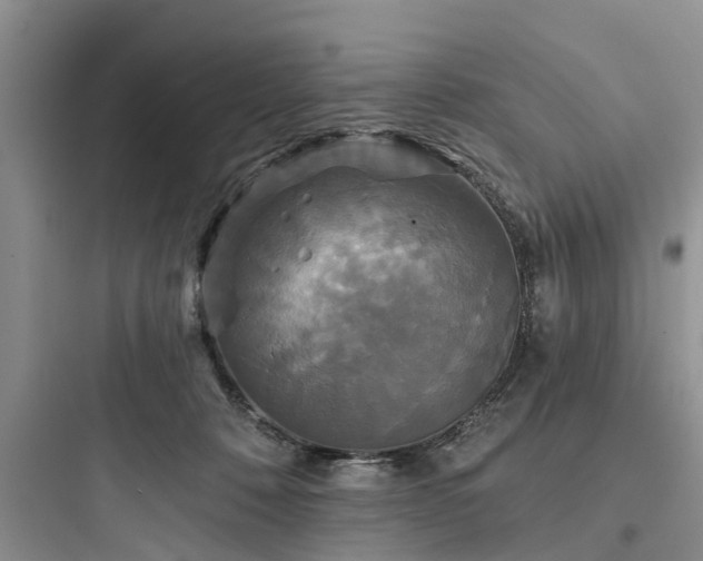 X0000097910320200803211510