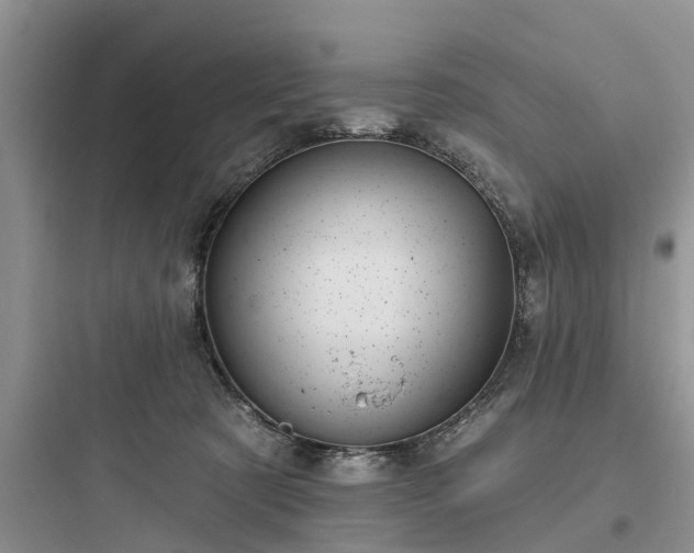 X0000097910321200803211510