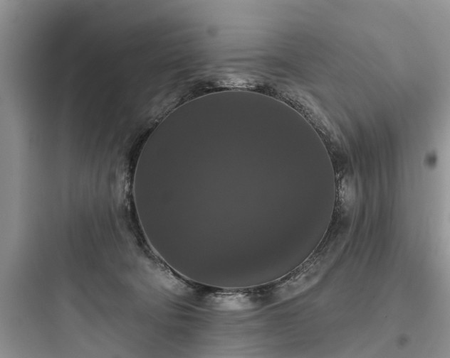 X0000097910322200803211510