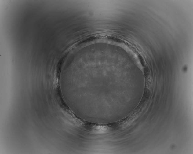 X0000097910324200803211510