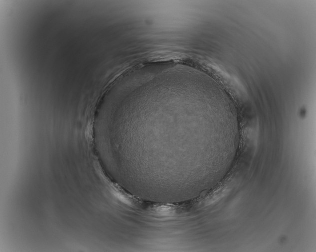 X0000097910325200803211510