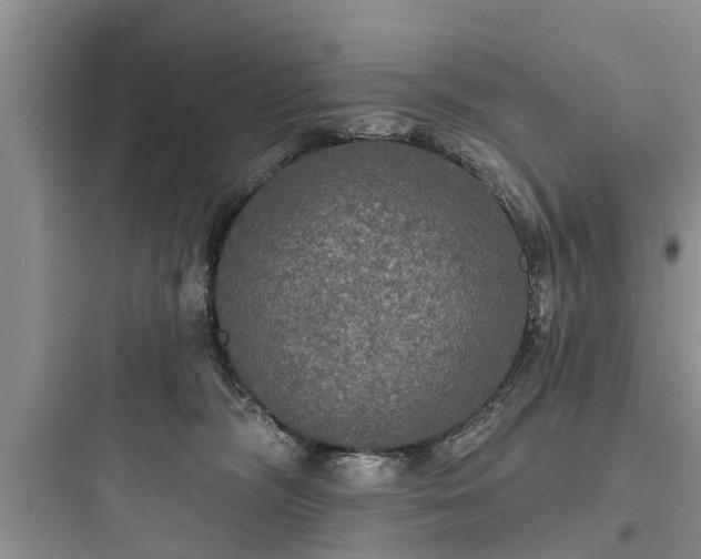 X0000097910326200803211510