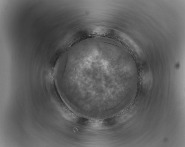 X0000097910328200803211510