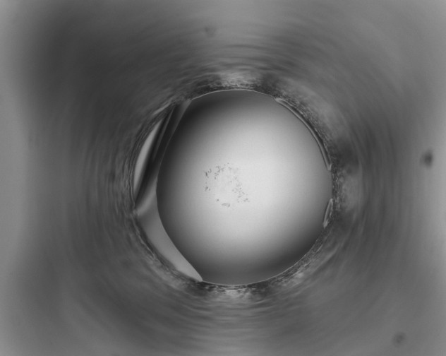 X0000097910329200803211510