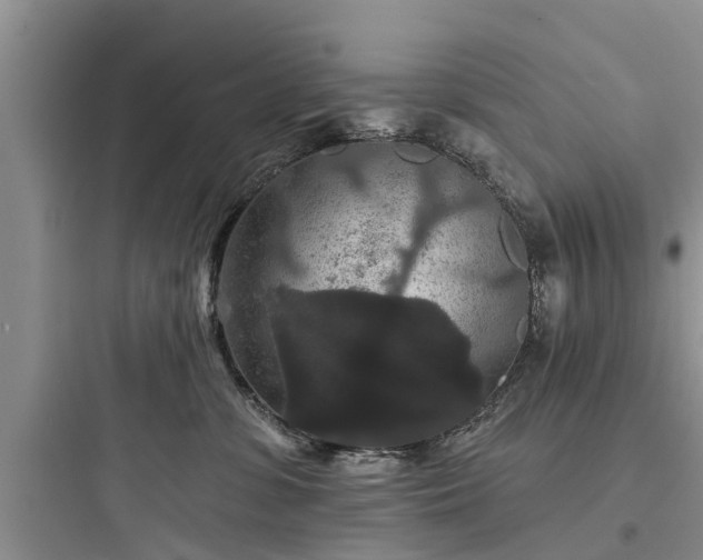 X0000097910331200803211510