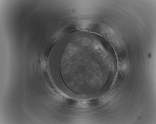 X0000097910332200803211510