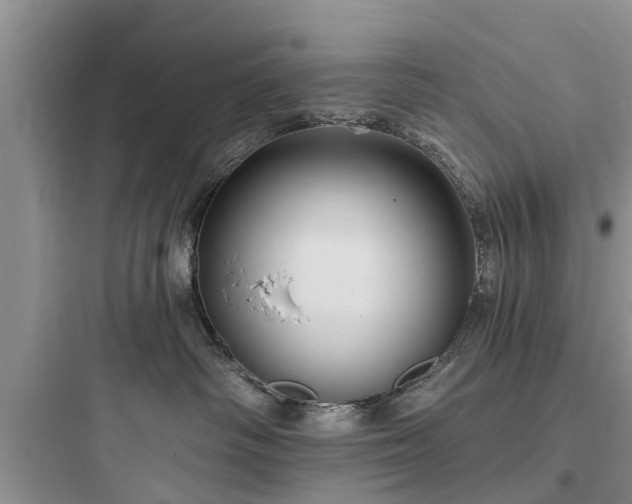 X0000097910334200803211510