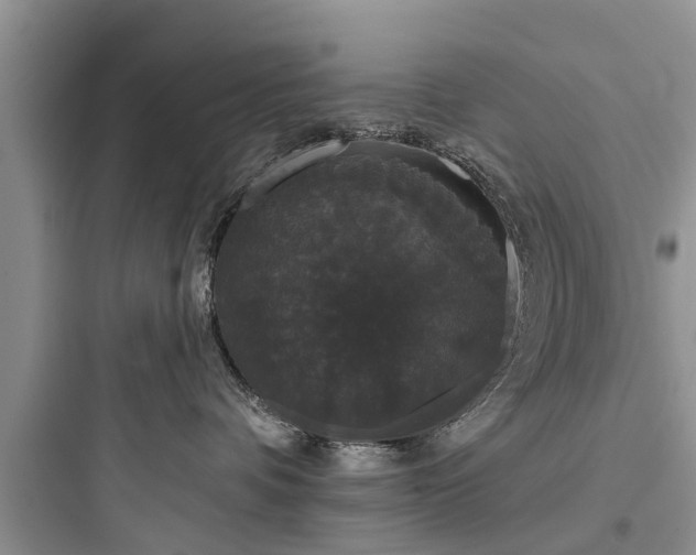 X0000097910336200803211510