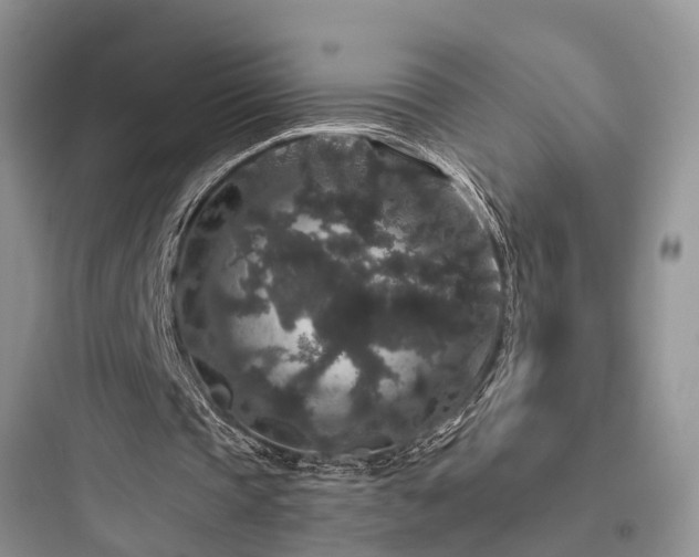 X0000097910337200803211509