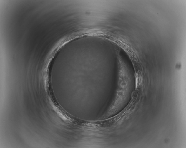 X0000097910339200803211509