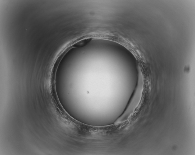 X0000097910340200803211509