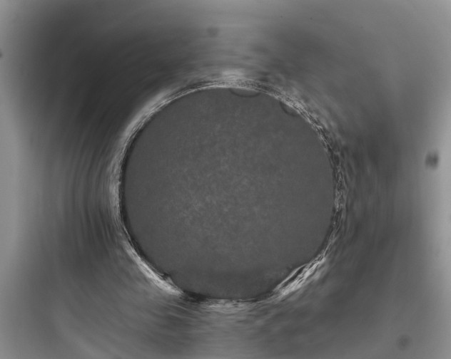 X0000097910341200803211509