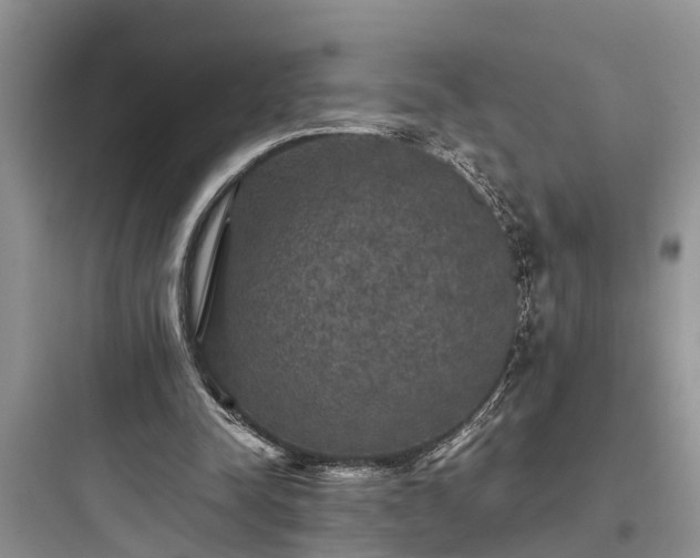 X0000097910342200803211509