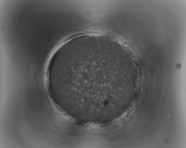 X0000097910343200803211509