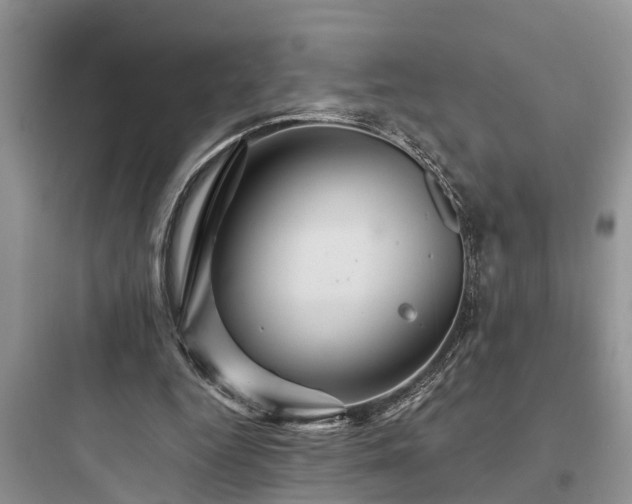 X0000097910344200803211509