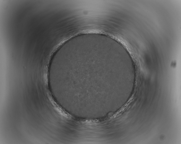 X0000097910345200803211510