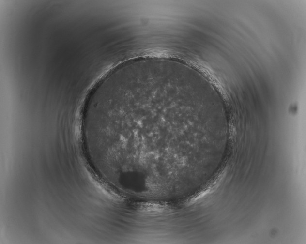 X0000097910347200803211510