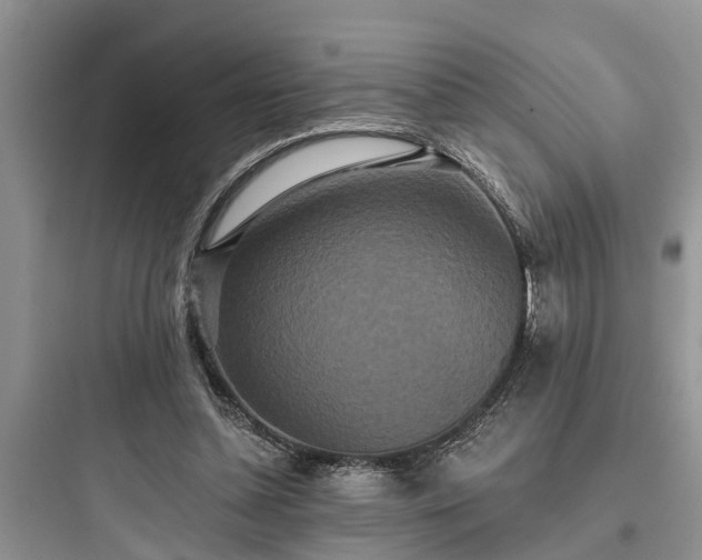 X0000097910348200803211510