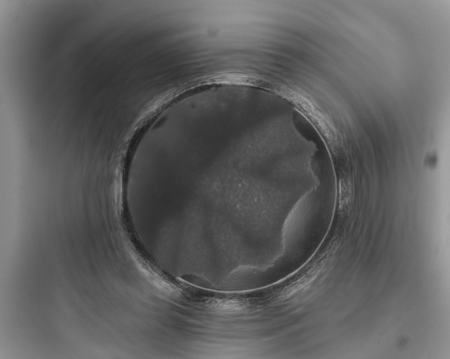 X0000097910349200803211510