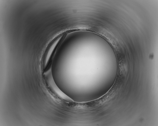 X0000097910350200803211510