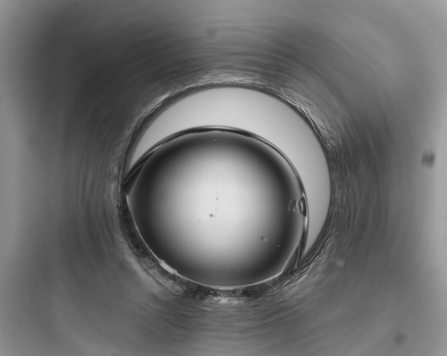 X0000097910352200803211510