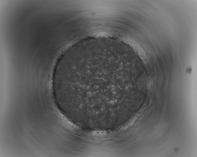 X0000097910353200803211510