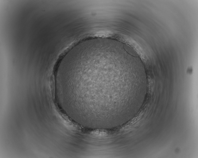 X0000097910354200803211510