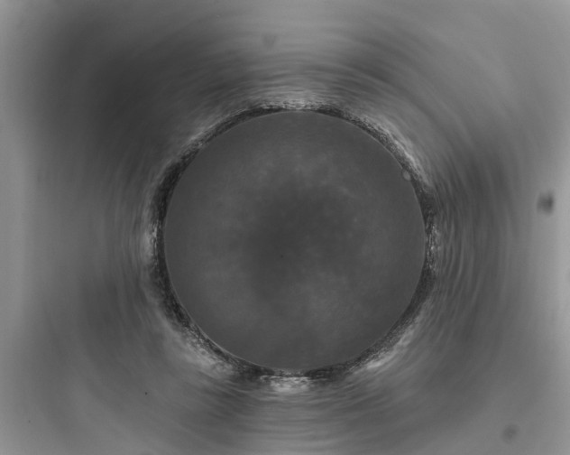 X0000097910355200803211510