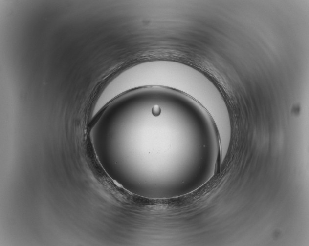 X0000097910356200803211510