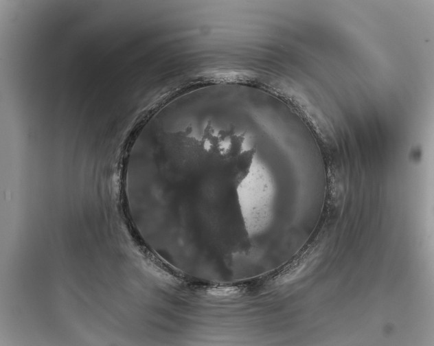 X0000097910357200803211510