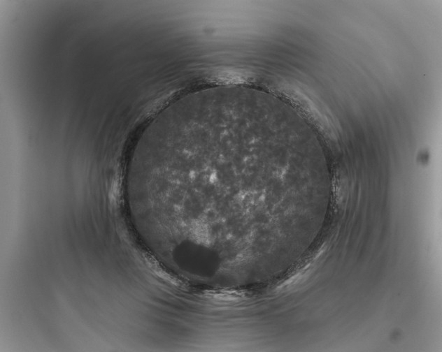 X0000097910359200803211510