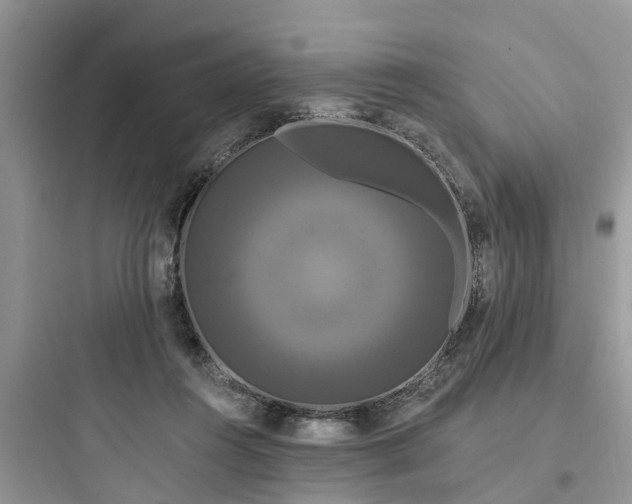 X0000097910360200803211510