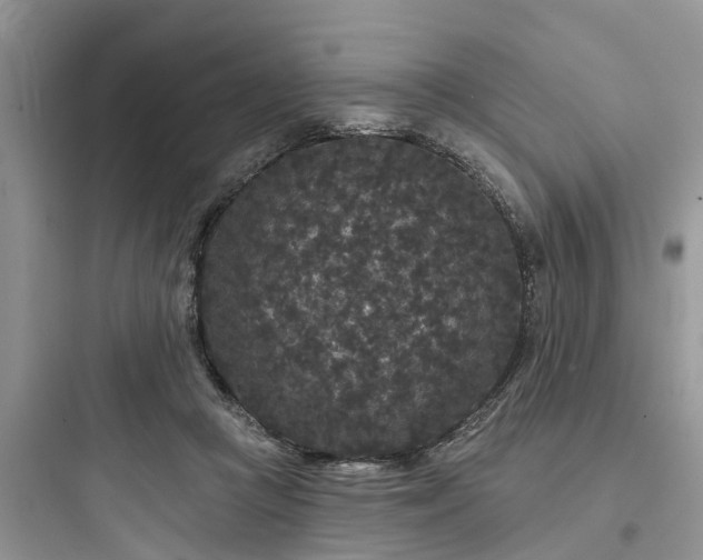 X0000097910361200803211510