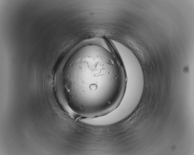 X0000097910362200803211510