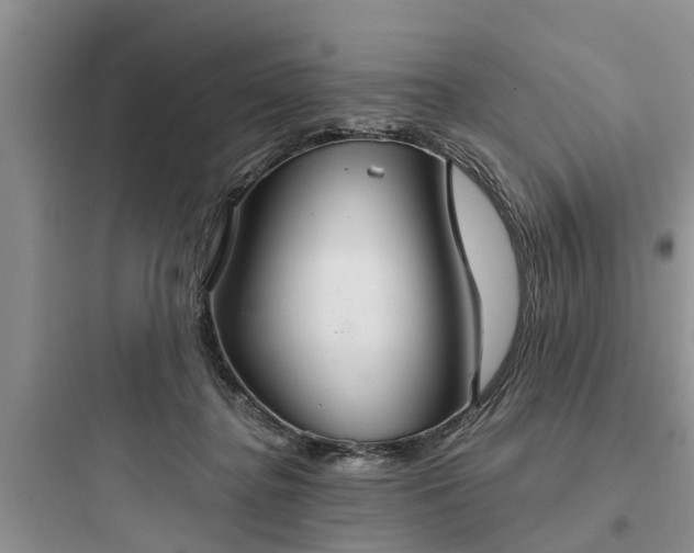 X0000097910364200803211510