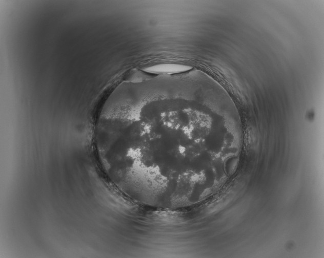 X0000097910367200803211510