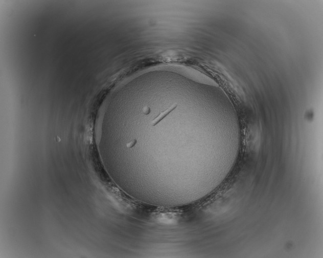 X0000097910368200803211510