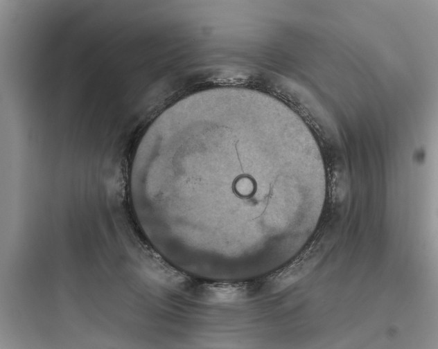 X0000097910370200803211510