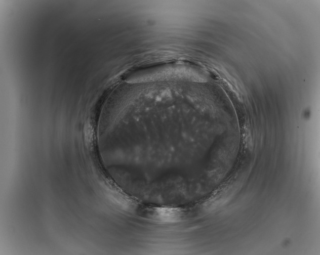 X0000097910371200803211510