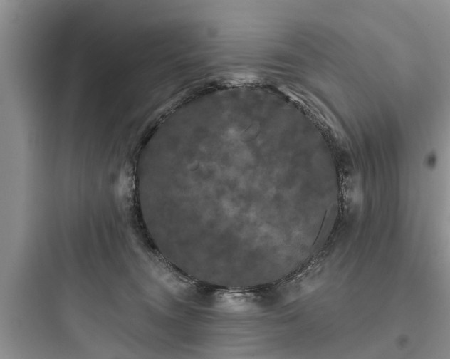 X0000097910372200803211510