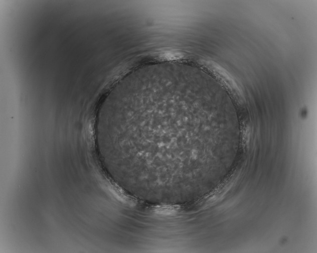 X0000097910373200803211510