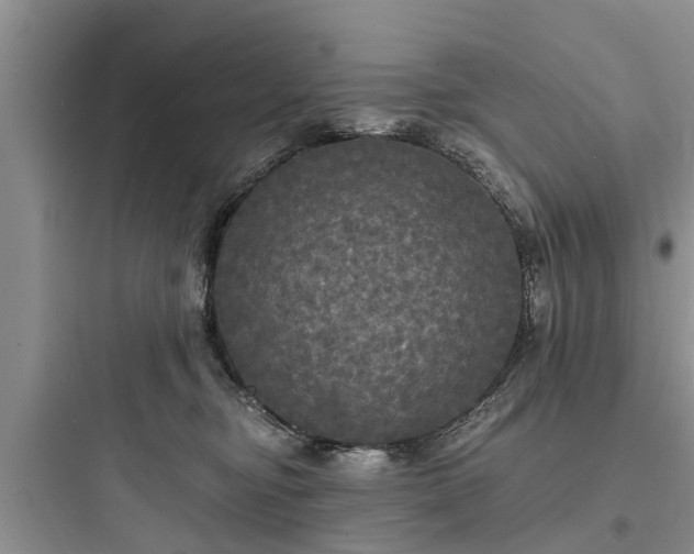 X0000097910374200803211510