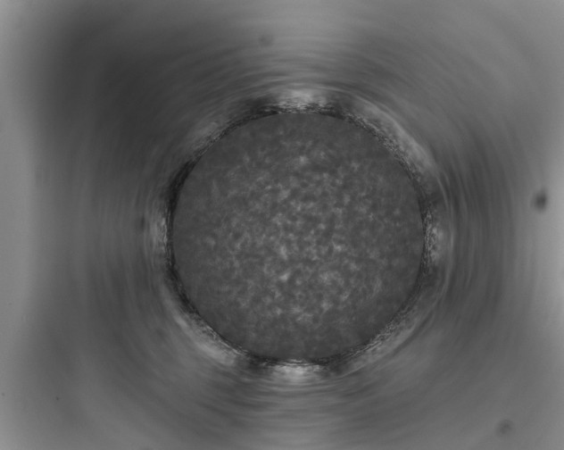 X0000097910375200803211510