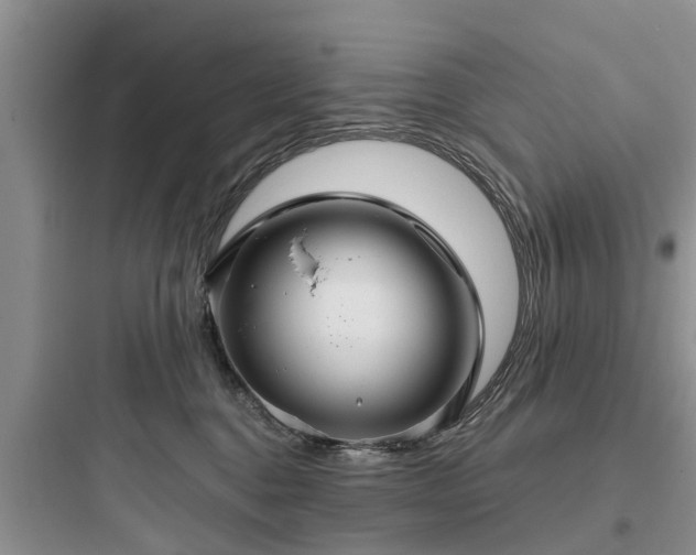 X0000097910376200803211510