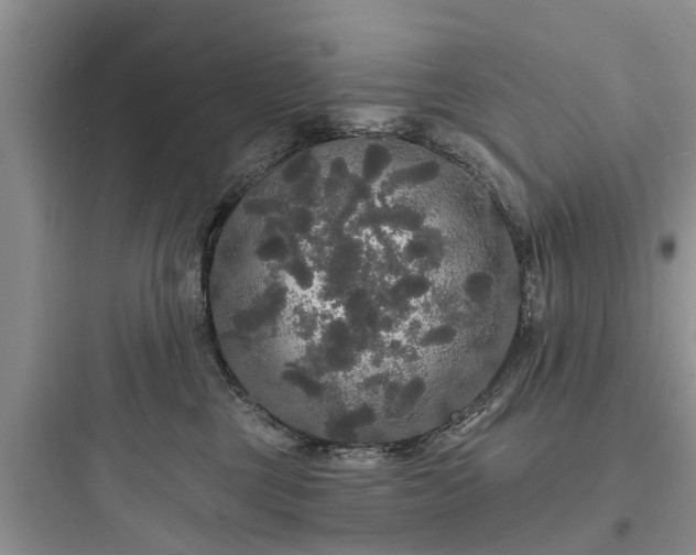 X0000097910377200803211510