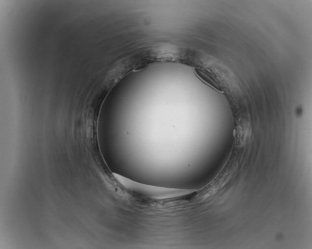 X0000097910379200803211510