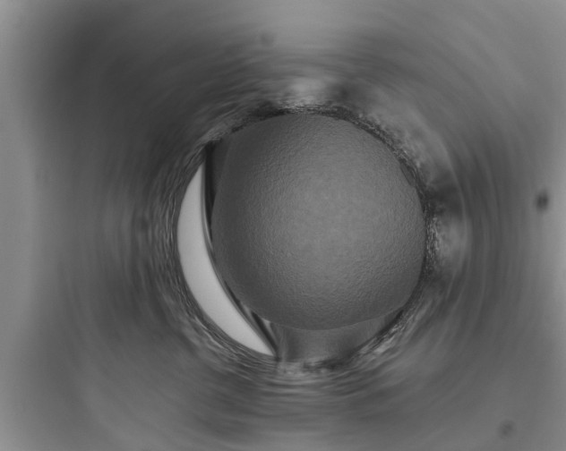 X0000097910380200803211510