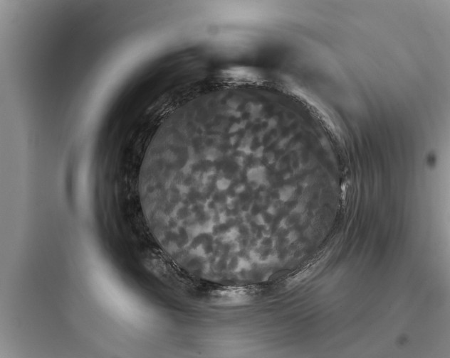 X0000097910381200803211510