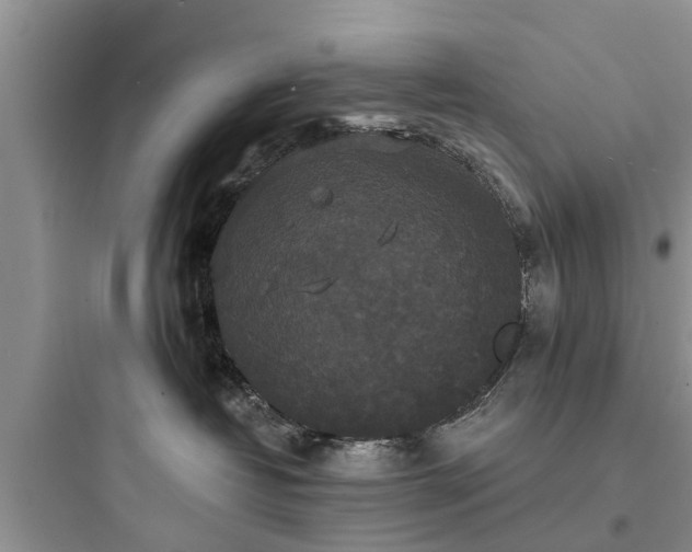 X0000097910382200803211510